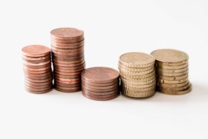 sri lanka tax internal control